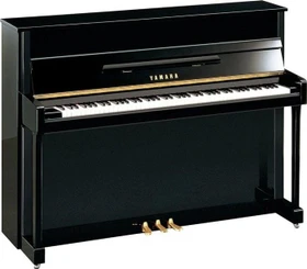 Yamaha B2 (verschiedene Farben)
