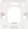 Digitus Leerdose für Keystone Module, 1x Keystone Aufnahme, deutsches Layout, weiß Vorschaubild