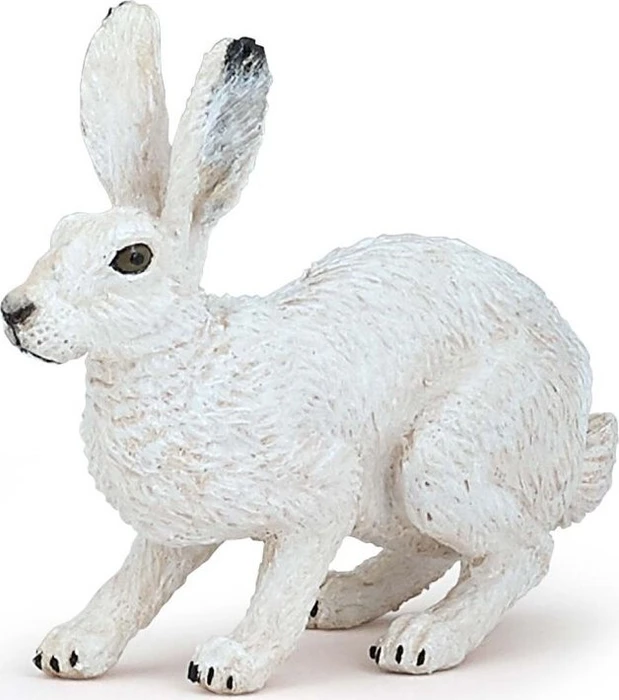 Papo Wildtiere der Welt - Polarhase