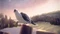 11-11: Memories Retold (Download) (PC) Vorschaubild