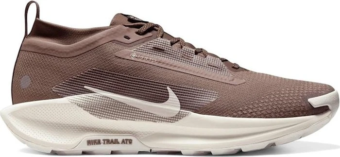 Nike Pegasus Trail 5 Gore-Tex SP (Herren)