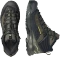 Salomon X Ultra Alpine Mid GTX black/peat/aspargus green (Herren) Vorschaubild