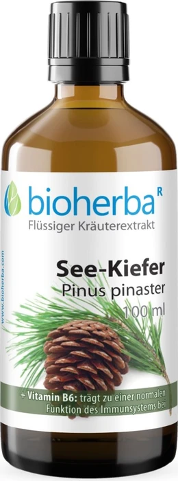 Bioherba See-Kiefer Pinus pinaster Tropfen Tinktur, 50ml