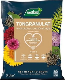 Westland Tongranulat, 5l