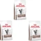 Royal Canin Skin Hairball Vorschaubild