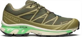Salomon XT-6 GTX olive night/dried herb/almond milk