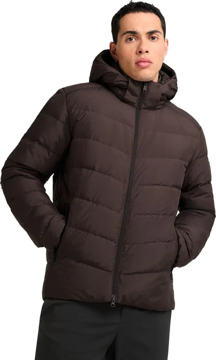 Jack Wolfskin Colonius Jacke (Herren)