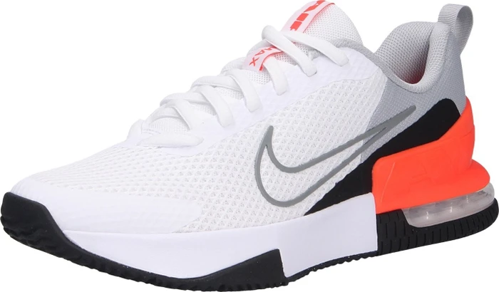 Nike Air Max Alpha Trainer 6 light smoke grey/white/black/particle grey (Herren) (FQ1833-005)