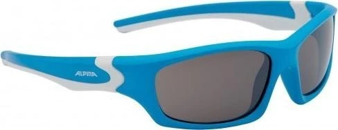 Alpina Flexxy Teen cyan-white/brown (Junior)