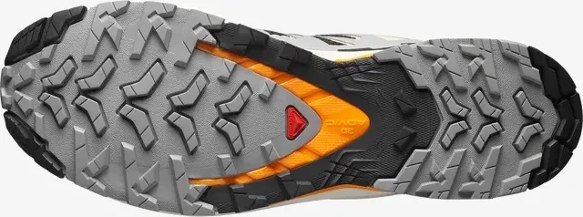 Salomon XA Pro 3D V9 black/gull/turmeric (Herren)
