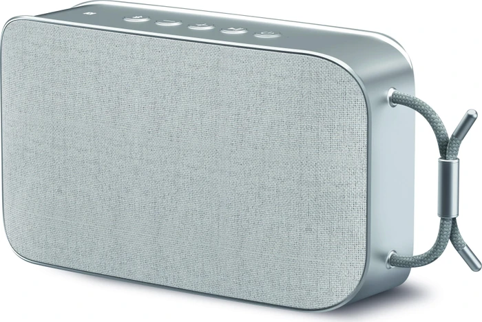 TechniSat Bluespeaker TWS XL grau