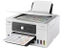 Canon MAXIFY GX3050, Tinte, mehrfarbig Vorschaubild