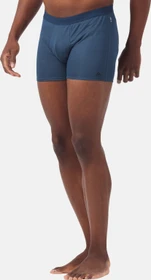 Odlo Active F-Dry Light Boxer Briefs blue wing teal (Herren)