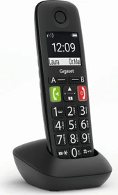 Gigaset E290HX schwarz