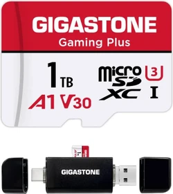 Gigastone Gaming Plus R100/W60 1TB Kit, UHS-I U3, A1, Class 10