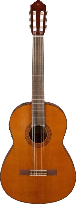 Yamaha CGX122MC