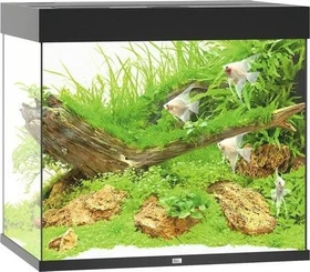 Juwel Lido 200 LED Aquarium-Set, schwarz, 200l