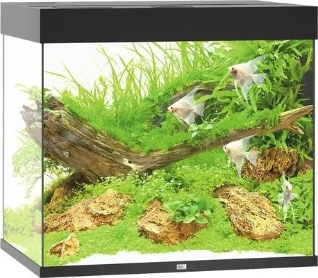 Juwel Lido 200 LED Aquarium-Set, schwarz, 200l