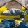 Big Agnes Sidewinder 20° Regular Mumienschlafsack (BSW20L26)