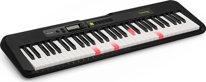 Casio LK-S250