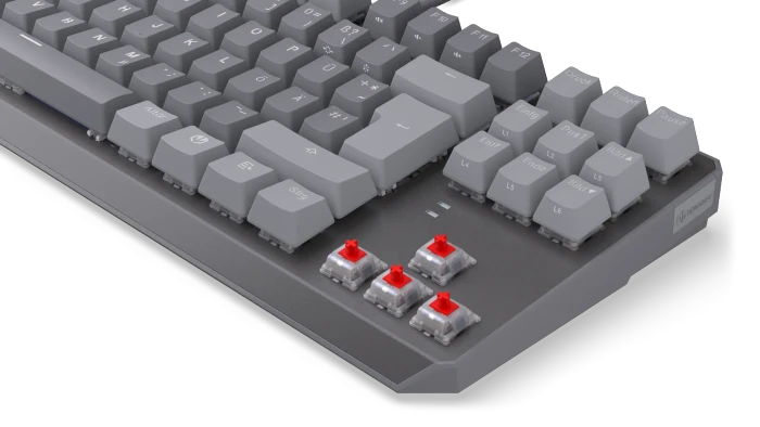 Endorfy Thock V2 TKL, PBT, grau, LEDs RGB, hot-swap, Endorfy RED, USB, DE