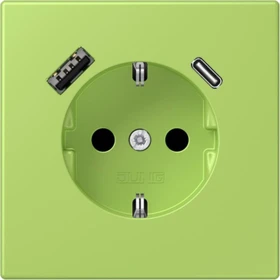 Jung Serie LS SCHUKO-Steckdose mit USB-Ladegerät Safety+, vert clair