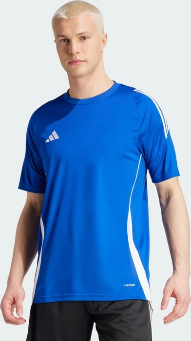 adidas Tiro 24 Trikot kurzarm royal blue/white (Herren)