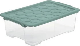 Rotho Evo Safe Keeping Aufbewahrungsbox, 30l, transparent/mistelgrün, inkl. Deckel