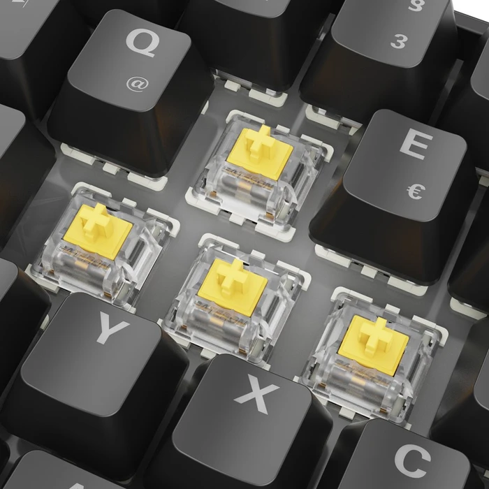 Sharkoon Skiller SGK50 S4 Gen2, Black, LEDs RGB, hot-swap, Gateron YELLOW, USB, DE