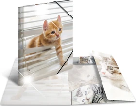 Herma Glossy Tiere Sammelmappe, A3, Katzen