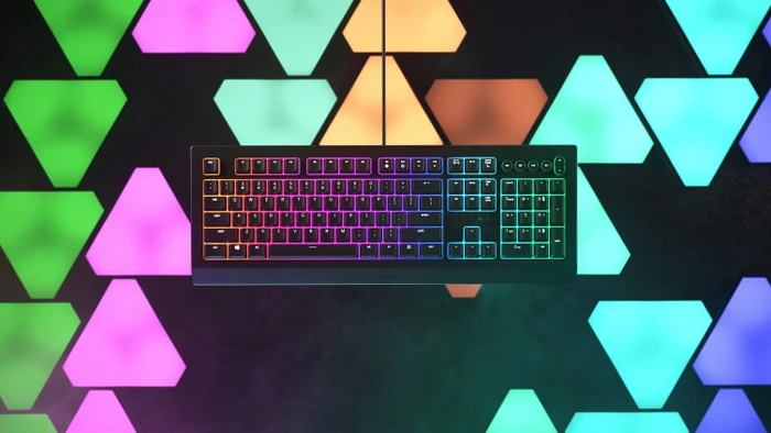 Razer Cynosa V2, USB, IT