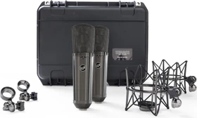 Warm Audio WA-87 R2 titanium Stereo-Paar