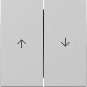 Gira Wippe 2fach mit Pfeilsymbol, grau matt