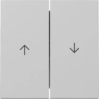 Gira Wippe 2fach mit Pfeilsymbol 3294