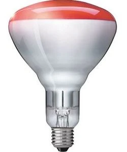 Philips Infrared Industrial Heat BR125 IR 150W E27 Infrarotlampe