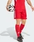 adidas Tiro 25 Competition Match Hose kurz team power red 2/team light grey (Herren) Vorschaubild