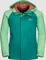 Jack Wolfskin Tucan Funktionsjacke spring green (Junior) Vorschaubild