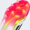 adidas F50 Elite Laceless AG cloud white/core black/solar yellow Vorschaubild