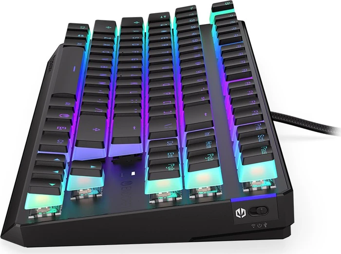 Endorfy Thock TKL Wireless Pudding, PBT, LEDs RGB, hot-swap, Kailh Box RED, USB/Bluetooth, US