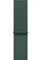 Apple Sport Loop für Apple Watch 46mm seegrün Vorschaubild