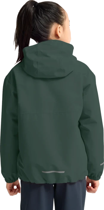 Jack Wolfskin Iceland 3in1 Funktionsjacke sago plam (Junior)
