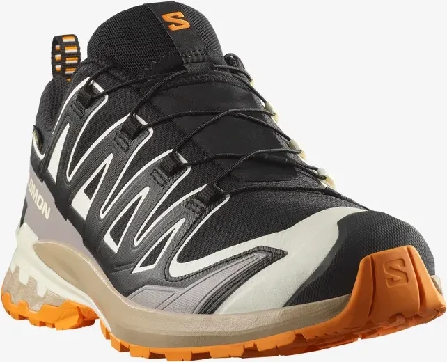 Salomon XA Pro 3D V9 GTX black/vanilla ice/turmeric (Herren)