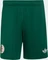 adidas FIFA WM 2026 Algerien Auswärtsshorts team dark green (Herren) Vorschaubild
