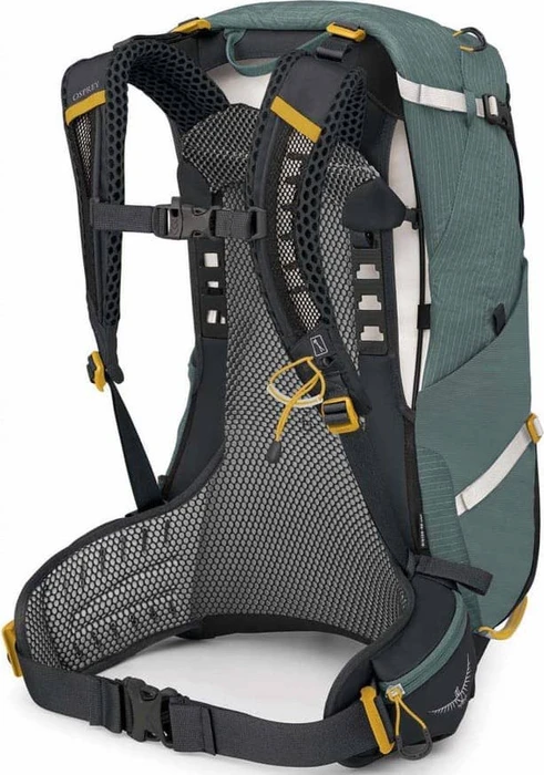 Osprey Sirrus 24 succulent green (Damen)