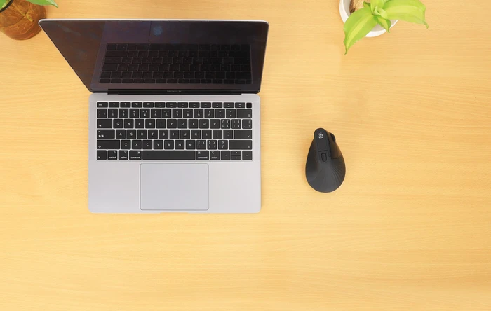 Manhattan Office Pro Vertical Ergonomic Wireless Mouse, schwarz, USB