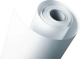 Epson S045009 Standard Proofing Papier, 44", 205g/m², 50m