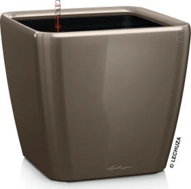 Lechuza Quadro LS 50 All-in-One Set taupe hochglanz