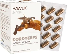 Hawlik Cordyceps CS-4 Extrakt + Pulver Kapseln, 120 Stück