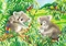 Ravensburger Puzzle Süße Koalas und Pandas Vorschaubild