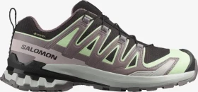 Salomon XA Pro 3D V9 GTX black/patina green/gray violet (Damen)